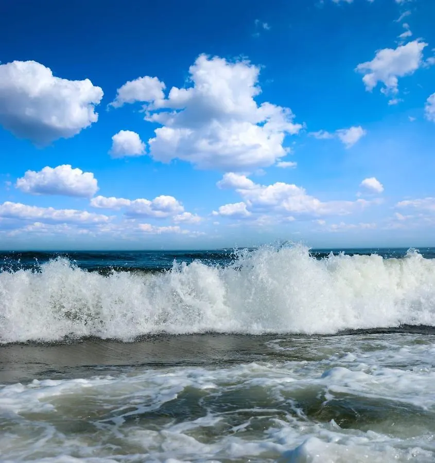 215 Turnberry Villa Hilton Head Island Holiday home